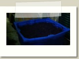 Blasier - Lindhorst Syrah 2