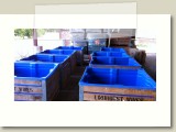 Empty Bins